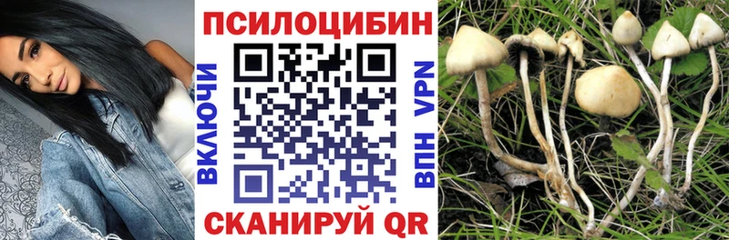 Псилоцибиновые грибы Psilocybe Иланский